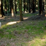 Orlik_2013 (8)